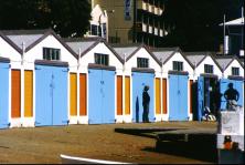 Yacht sheds by afternoon light