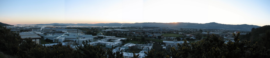 Evening panoramic view of Wellington City.