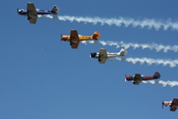 Yaks racing in formation with smoke. (180Kb jpeg)