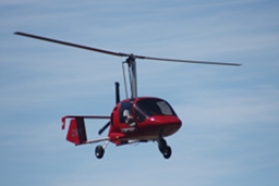 Celier Xenon Gyrocopter in flight. (165Kb jpeg)